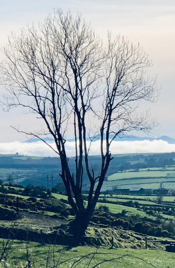 The Collins,Our View From The Top Listowel Exterior foto